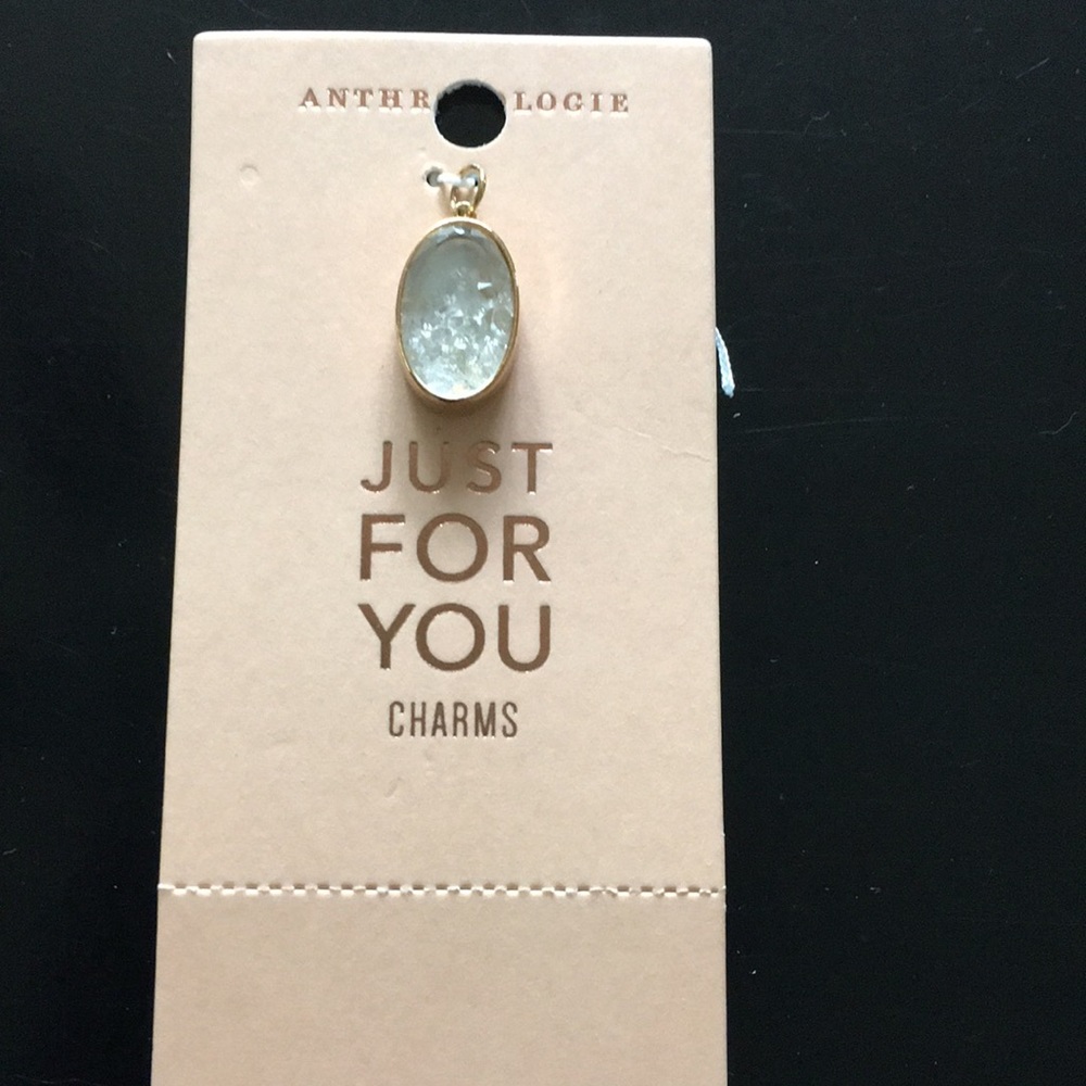 Anthropologie Charm